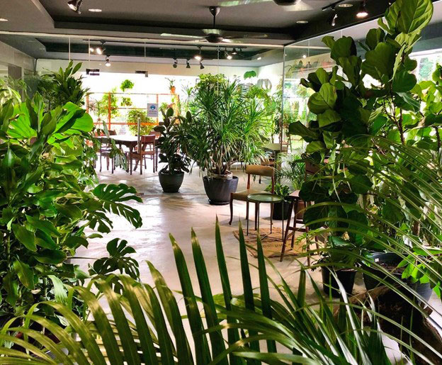 How To Make Your Store Better With Nature’s Help